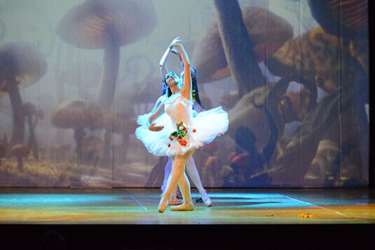 Ballerina Classica in Posa - Spettacolo Alice nel Paese delle Meraviglie Ballerina di danza classica esegue una posa elegante durante lo spettacolo "Alice nel Paese delle Meraviglie", rappresentazione del Centro di Produzione Danza e Recitazione Viterbo