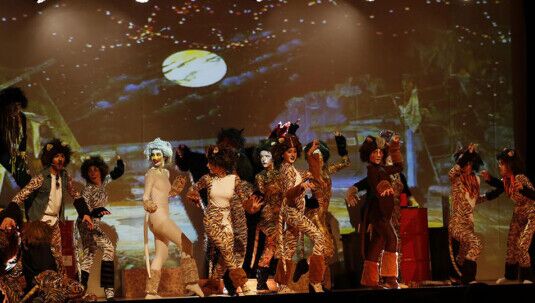 Spettacolo Musical Cats - Centro di Produzione Danza e Recitazione Viterbo Allievi del Centro di Produzione Danza e Recitazione Viterbo durante la performance del musical "Cats"